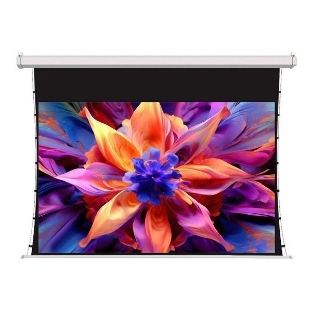 Экран для проектора S'OK SCPSMT-332x186FG-ED30 150 ' 16:9 настенно-потолочный, моторизованный с боковым натяжением, белый, ED30 см