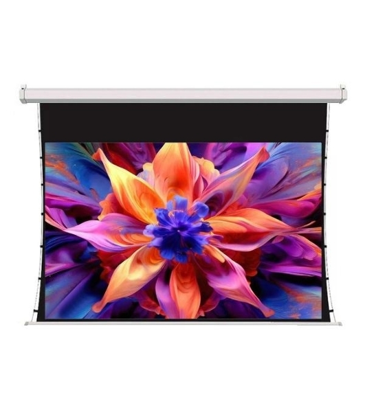 Экран для проектора S'OK SCPSMT-332x186FG-ED30 150 ' 16:9 настенно-потолочный, моторизованный с боковым натяжением, белый, ED30 см