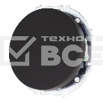 Выключатель LEZARD 743-4288-100 1-кл. СП OSEN 10А IP20 механизм черный бархат, фото2