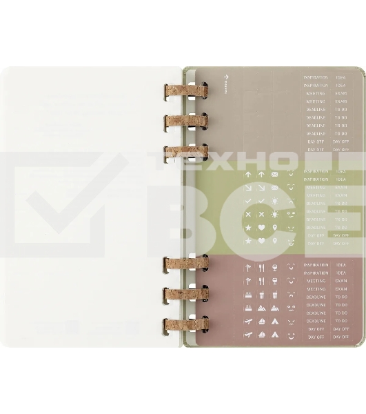 Еженедельник Moleskine ACADEMIC SPIRAL DHSPK5212AMWH3 Large 150х210мм 200 стр. кремовые страницы спираль киви