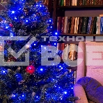 Гирлянда светод. Funray Минишарики, SE-MINI-110B, 10М, 100LED, синий, темно-зел. шн. 0,7м, контр.,, фото8