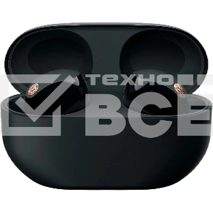 Наушники Sony черный WF-1000XM5/BC