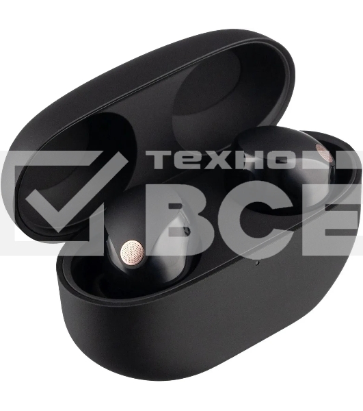 Наушники Sony черный WF-1000XM5/BC