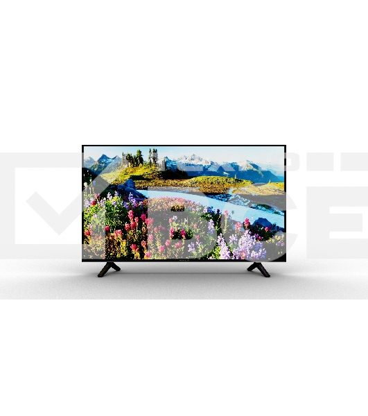 Телевизор Thomson 55