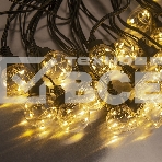 Гирлянда светод. уличная Funray Лампы SE-BB-10100WW, 10M, 100LED, теплый белый, IP65, черн.шн.,1,5м,, фото 1