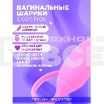 Вагинальные шарики Ego stick ESB-001 pink, фото2