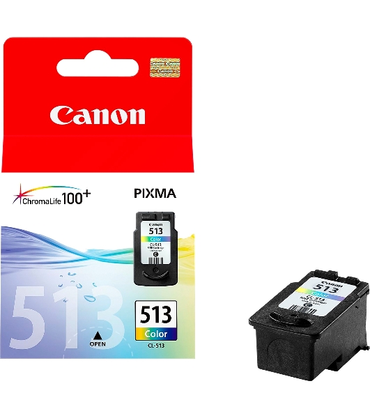 Картридж струйный Canon CL-513IJ CART EMB многоцветный (349 стр) для Canon PIXMA MP230/iP2700/iP2702/MP240/MP250/MP252/MP260/MP270/MP272/MP280