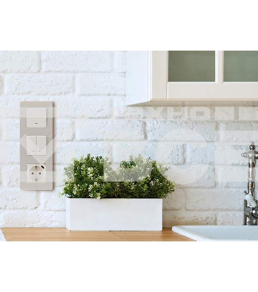 Розетка 2К+З немецкий стандарт 16А 250В с зарядным устройством USB C 1.5А 5В слоновая кость