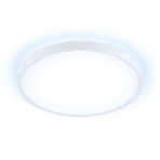 Потолочный светодиодный светильник Ambrella light FZ3001 WH белый IP44 24W+10W 6400+6400К D300*40 (Без ПДУ), фото10