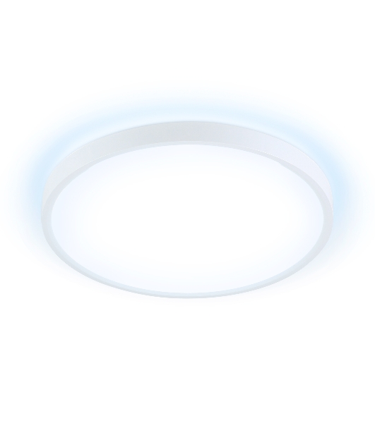 Потолочный светодиодный светильник Ambrella light FZ3001 WH белый IP44 24W+10W 6400+6400К D300*40 (Без ПДУ)