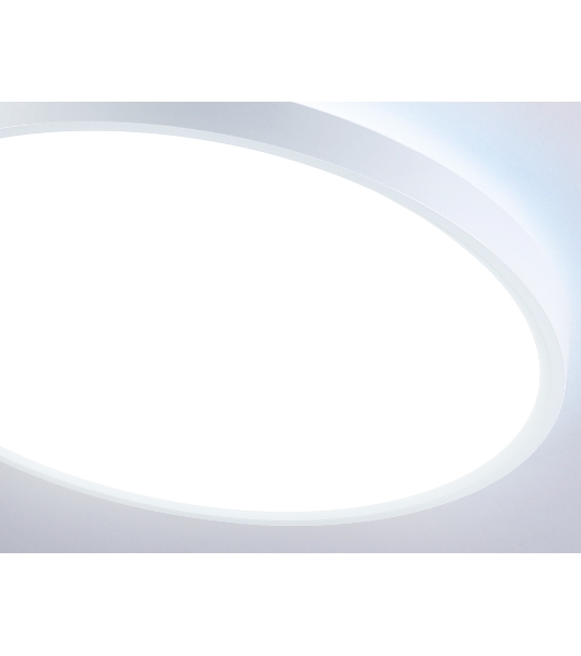Потолочный светодиодный светильник Ambrella light FZ3001 WH белый IP44 24W+10W 6400+6400К D300*40 (Без ПДУ)