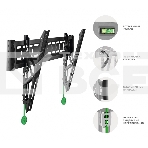 Кронштейн ONKRON TM6 для телевизора 43