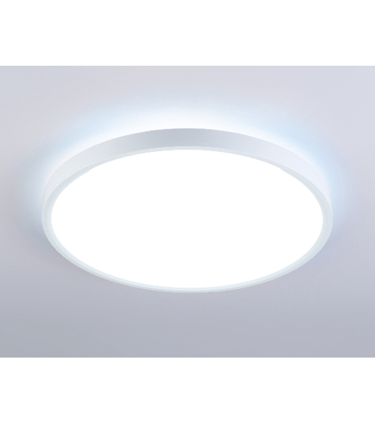 Потолочный светодиодный светильник Ambrella light FZ3001 WH белый IP44 24W+10W 6400+6400К D300*40 (Без ПДУ)