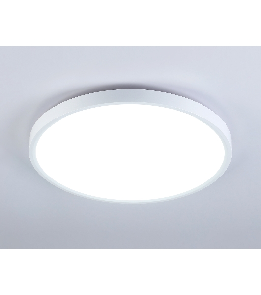 Потолочный светодиодный светильник Ambrella light FZ3001 WH белый IP44 24W+10W 6400+6400К D300*40 (Без ПДУ)