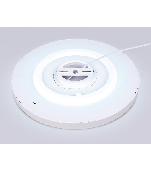 Потолочный светодиодный светильник Ambrella light FZ3001 WH белый IP44 24W+10W 6400+6400К D300*40 (Без ПДУ)