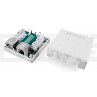 Розетка компьютерная RJ-45(8P8C), категория 5e, экранированная, двойная, внешняя, Dual IDC Hyperline SB1-2-8P8C-C5e-SH-WH