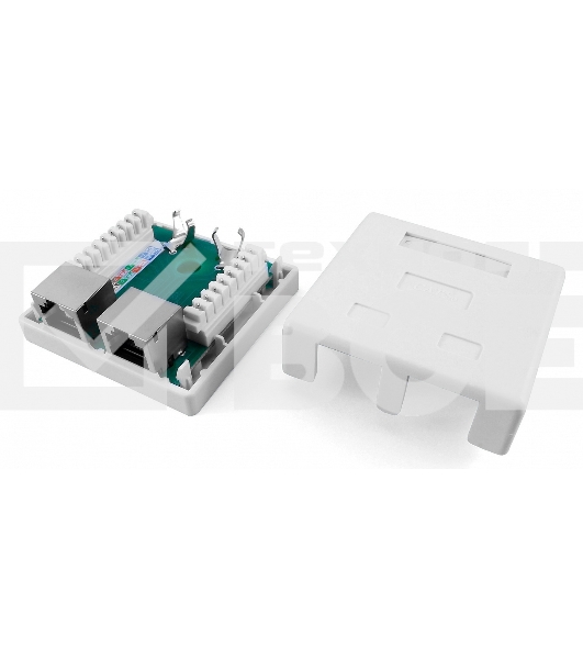 Розетка компьютерная RJ-45(8P8C), категория 5e, экранированная, двойная, внешняя, Dual IDC Hyperline SB1-2-8P8C-C5e-SH-WH