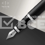 Ручка перьевая Parker IM Core F321 (CW1931644) Black CT F сталь нержавеющая подар.кор., фото 1