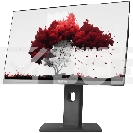 Монитор 23.8' RDW Computers RDW2402K IPS 1920x1080, 75 Гц, 5 мс, 16:9, 300 кд/м², 1xHDMI, 1xDP, 1xVGA, 2x3 Вт, веб-камера, черный, фото3