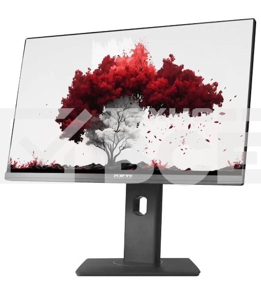 Монитор 23.8' RDW Computers RDW2402K IPS 1920x1080, 75 Гц, 5 мс, 16:9, 300 кд/м², 1xHDMI, 1xDP, 1xVGA, 2x3 Вт, веб-камера, черный