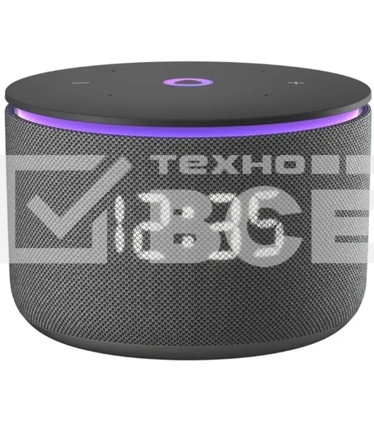 Умная колонка Яндекс Станция Мини 3 Про с Алисой, Zigbee, черный, YNDX-00059BLK