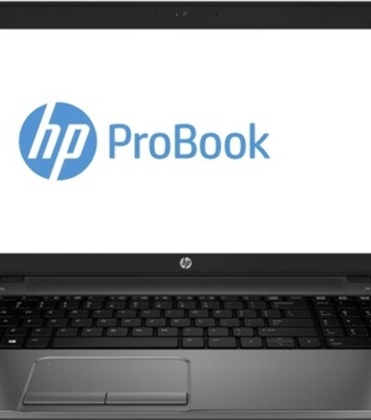 Петли для ноутбука HP ProBook 450 G1, 455 G1