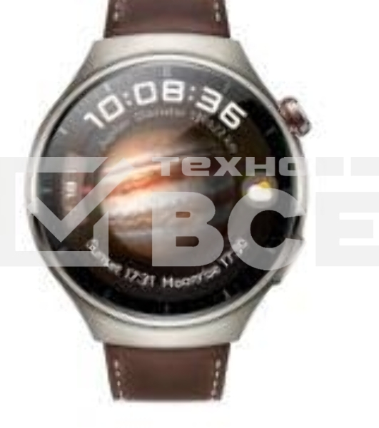Умные часы HUAWEI 4 PRO титановый/коричневый MDS-AL00