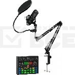 Микрофон проводной Оклик SM-600G 2.5м черный, фото 1