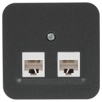 Розетка компьютерная 2-ая компьютерная RJ45, кат.5E, изол. пластина SE Blanca наруж Антрацит, фото 1