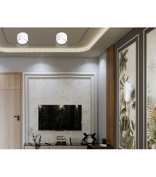 Светильник Ambrella light TN5303 WH/BK белый/черный GX53 max 15W D83*65