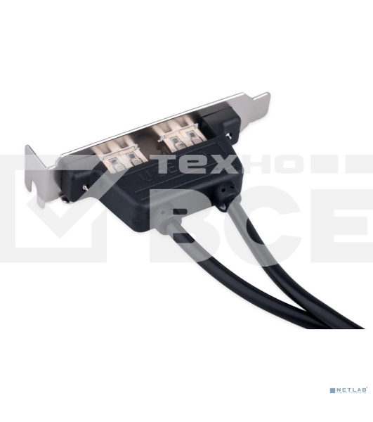 Планка USB 2.0 на заднюю панель низкопрофильная Cablexpert CCUSBRECEPTACLE-LP, 2 порта USB