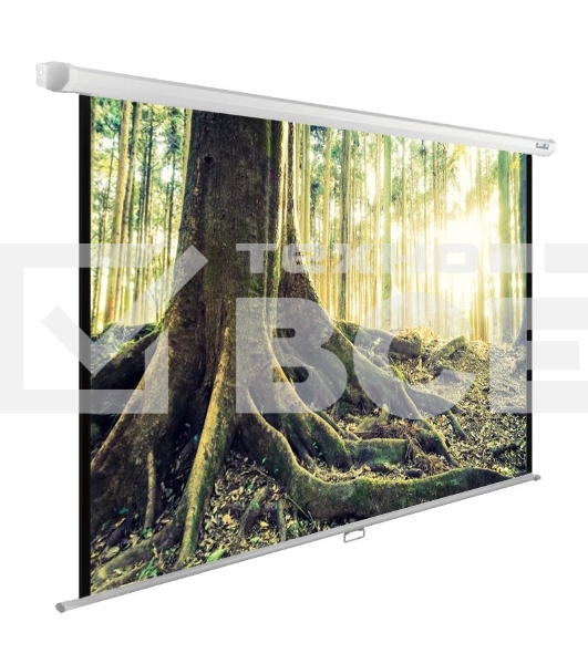 Экран Cactus 220x220см WallExpert CS-PSWE-220x220-WT 1:1 настенно-потолочный рулонный