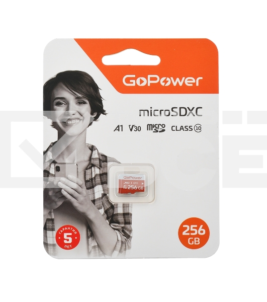 Карта памяти microSD GoPower 256GB Class10 UHS-I (U3) 100 МБ/сек V30 без адаптера