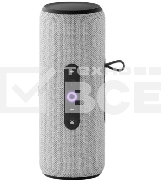 Умная колонка Яндекс Станция Стрит с Алисой, портативная, модель YNDX-00030GRY (серый)