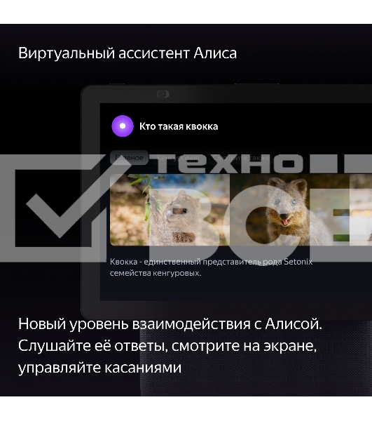 Умная колонка с дисплеем Яндекс Станция Дуо Макс, Zigbee, 60Вт, с голосовым ассистентом Алиса на YaGPT, черный (YNDX-00055BLK)