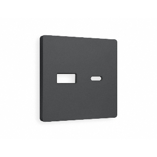 Лицевая панель ALFA (Графит Мягкое касание) для розетки 2USB тип A+C QUANT AP9110