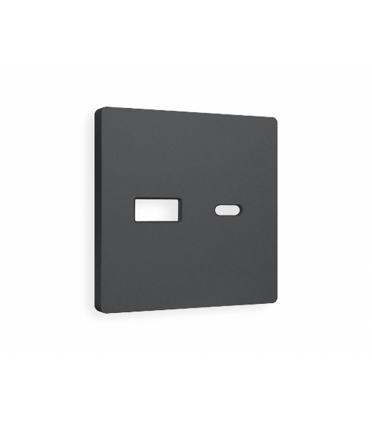 Лицевая панель ALFA (Графит Мягкое касание) для розетки 2USB тип A+C QUANT AP9110