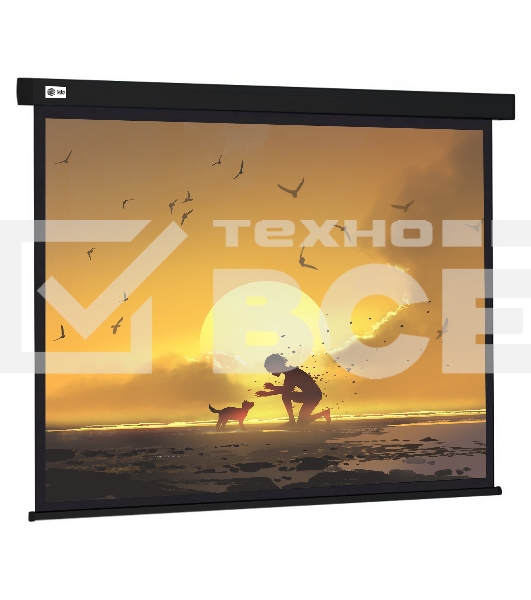 Экран Cactus 150x150см Wallscreen CS-PSW-150X150-BK 1:1 настенно-потолочный рулонный черный