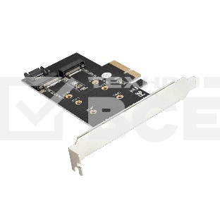 Переходник ExeGate EXE-509 M.2 B key + M.2 M Key -> PCI-Ex4/SATA