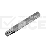 Набор бит TORX, хвостовик-шестигранник, 10 мм, CrV, 15 предм. Stels, фото9