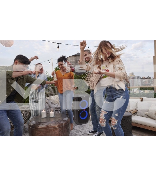 Портативная акустика Динамик JBL PartyBox 310
