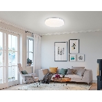 Светодиодный светильник RGB Ambrella light FZ417 WH белый IP20 46W 3000K-6500K+RGB D380*60 (ПДУ ИК), фото11