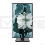 Монитор 27' CBR MD-2701 IPS 1920x1080, 100 Гц, 5 мс, 16:9, 250 кд/м², 1xHDMI, 1xDP, 2x3 Вт, черный, фото3