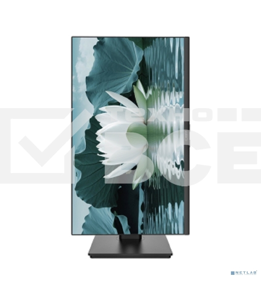 Монитор 27' CBR MD-2701 IPS 1920x1080, 100 Гц, 5 мс, 16:9, 250 кд/м², 1xHDMI, 1xDP, 2x3 Вт, черный