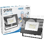 Прожектор светодиодный LED 70Вт IP65 6500К черн. Gauss 613100370, фото5
