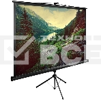 Экран Cactus 220x220см TriExpert CS-PSTE-220х220-BK 1:1 напольный рулонный, фото2