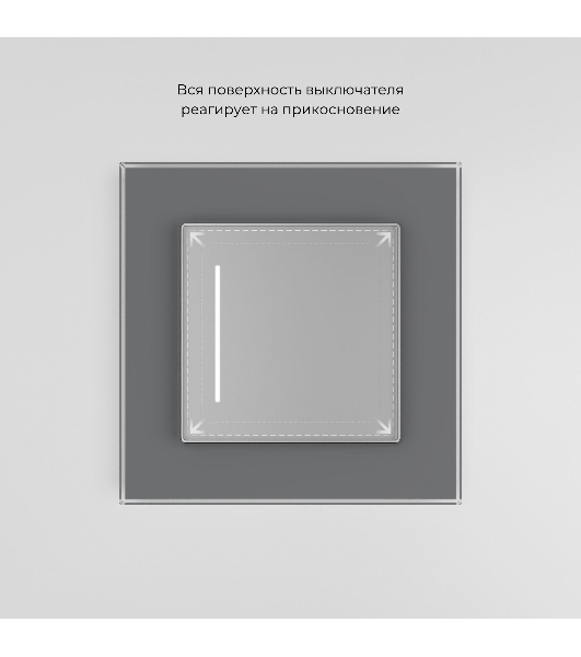 Умный сенсорный выключатель одноклавишный (серебряный) W4513006