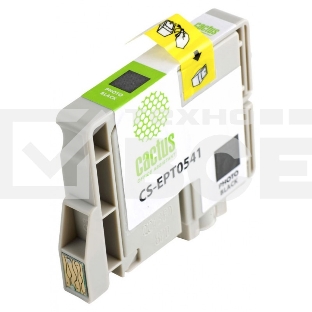 Картридж струйный Cactus CS-EPT0541 черный (16,2 мл) для Epson Stylus Photo R800/ R1800