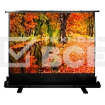 Экран Cactus 150x200см FloorExpert CS-PSFLE-200X150 4:3 напольный рулонный, фото 1