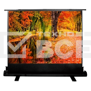 Экран Cactus 150x200см FloorExpert CS-PSFLE-200X150 4:3 напольный рулонный
